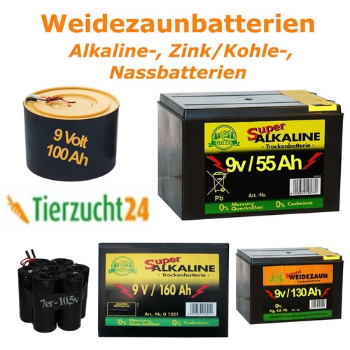 Weidezaunbatterie 12v - weidezaunbatterie, 6v-12v